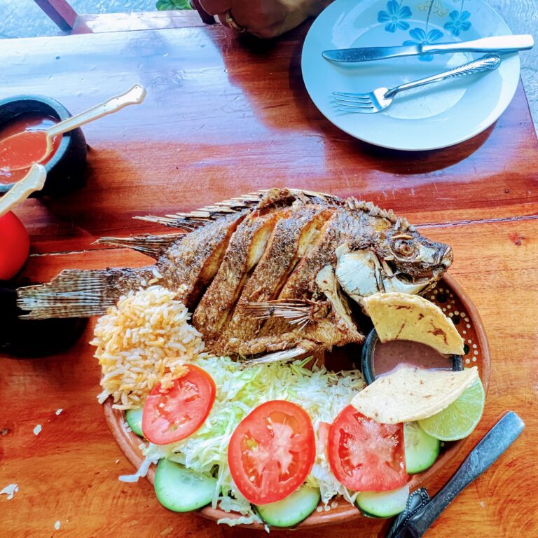 Tulum Money Saving Tips Fish Plate Salad For $10 USD