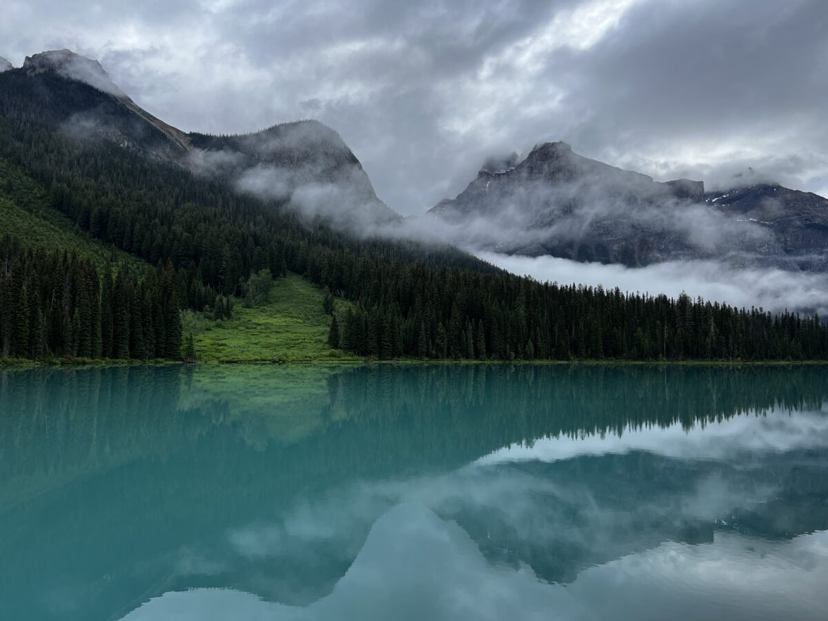 Banff National Park Bear Encounter: A Memorable Adventure