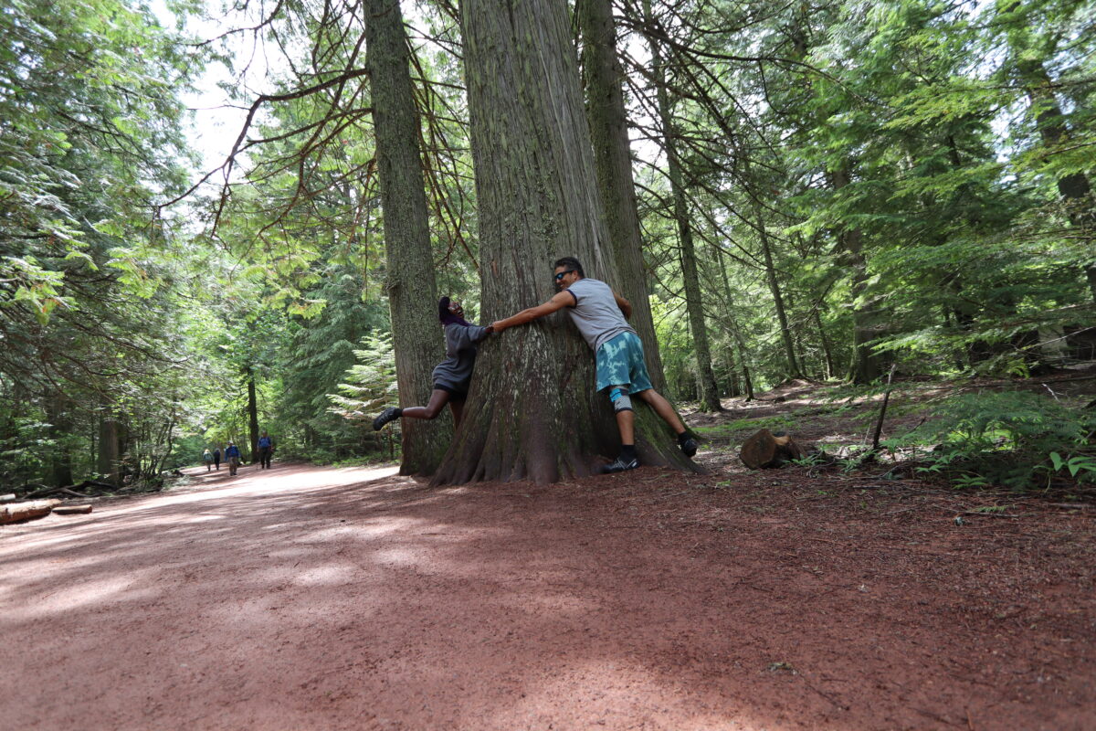 Glacier National Park Guide: Our Day Exploring Montana’s Scenic Gem