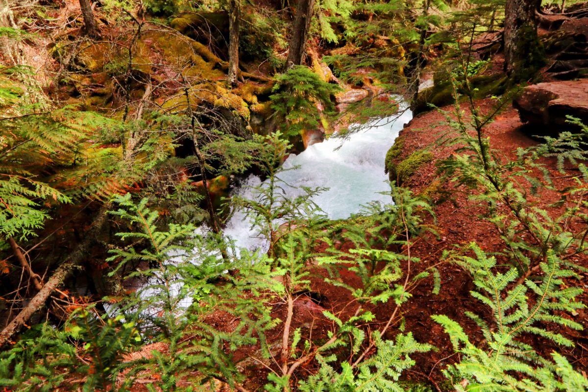 Glacier National Park Guide: Our Day Exploring Montana’s Scenic Gem