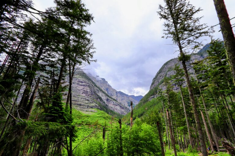 Glacier National Park Guide: Our Day Exploring Montana’s Scenic Gem